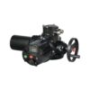 intelligent type (2) M-Series Electric Actuator